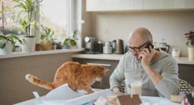 котка и собственик с телефон