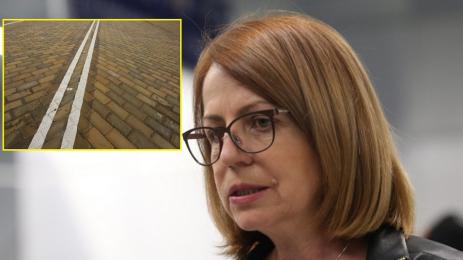 Фандъкова павета