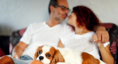 двойка куче