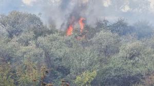 Голям пожар избухна във Варна съобщиха от полицията БТА Сигналът