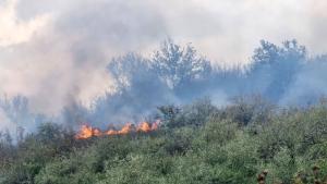 Голям пожар избухна във Варна Това съобщи очевидец в социалните