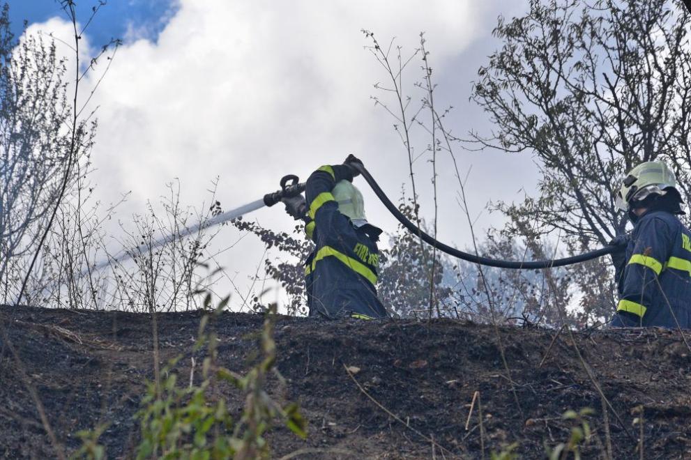 Сто декара гора в рйона на село Пожарево са спасили