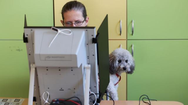 България гласува: Вижте кадри от изборния ден (СНИМКИ)