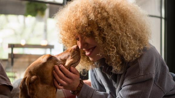 Побутване с нос – какво ни казва кучето с този сладък жест