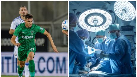 Доминик Янков