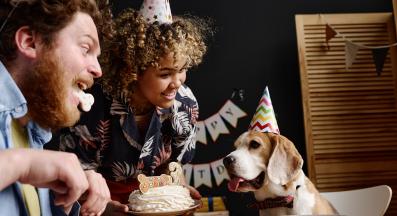 куче рожден ден