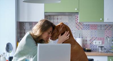 куче човек стрес