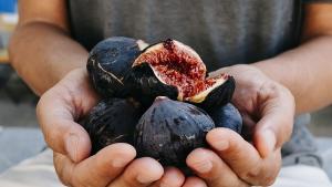 Плодовете на смокинята съдържат антиоксиданти йод фосфор и други полезни