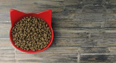 Котешка храна