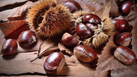 чудеса и вяра кестени