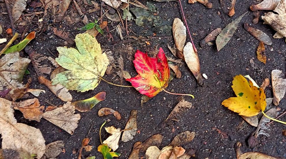 Днес ще преобладава слънчево време. По-значителни увеличения на облачността ще
