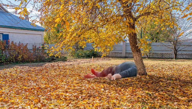 смърт под ореха - ТРАГЕДИЯ: Мъж се покатери на дърво и загина