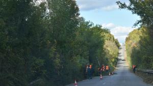Община Разград започна почистване на общински пътища от прорасла растителност