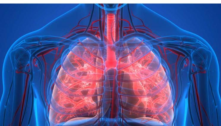 пневмония - ЗЛАТНО ВРЕМЕ: Нанороботи помагат при опасна пневмония