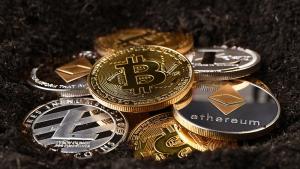 В началото на войната в Украйна киберпространството беше залято с