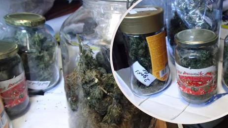 марихуана буркани