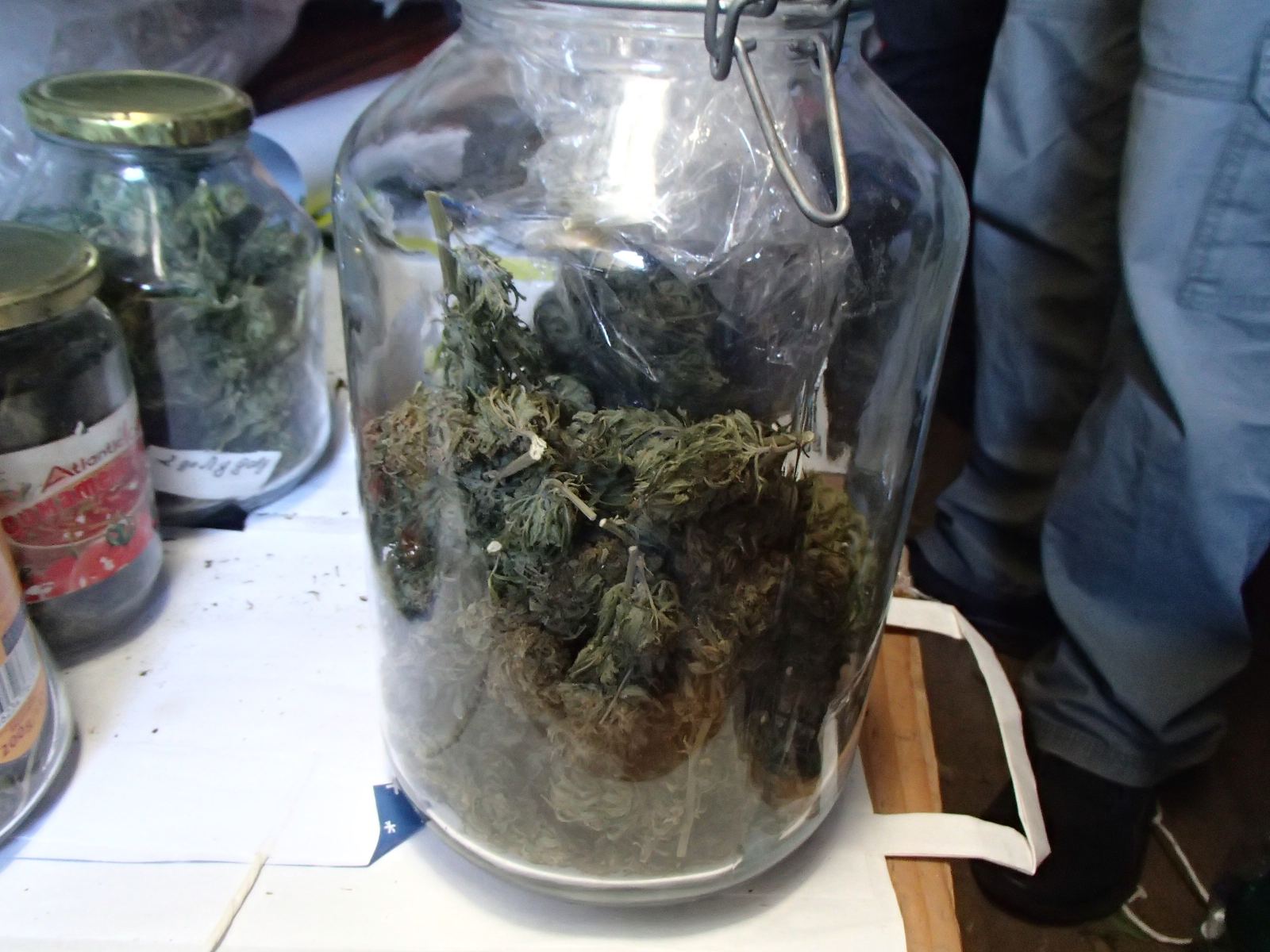 буркани марихуана