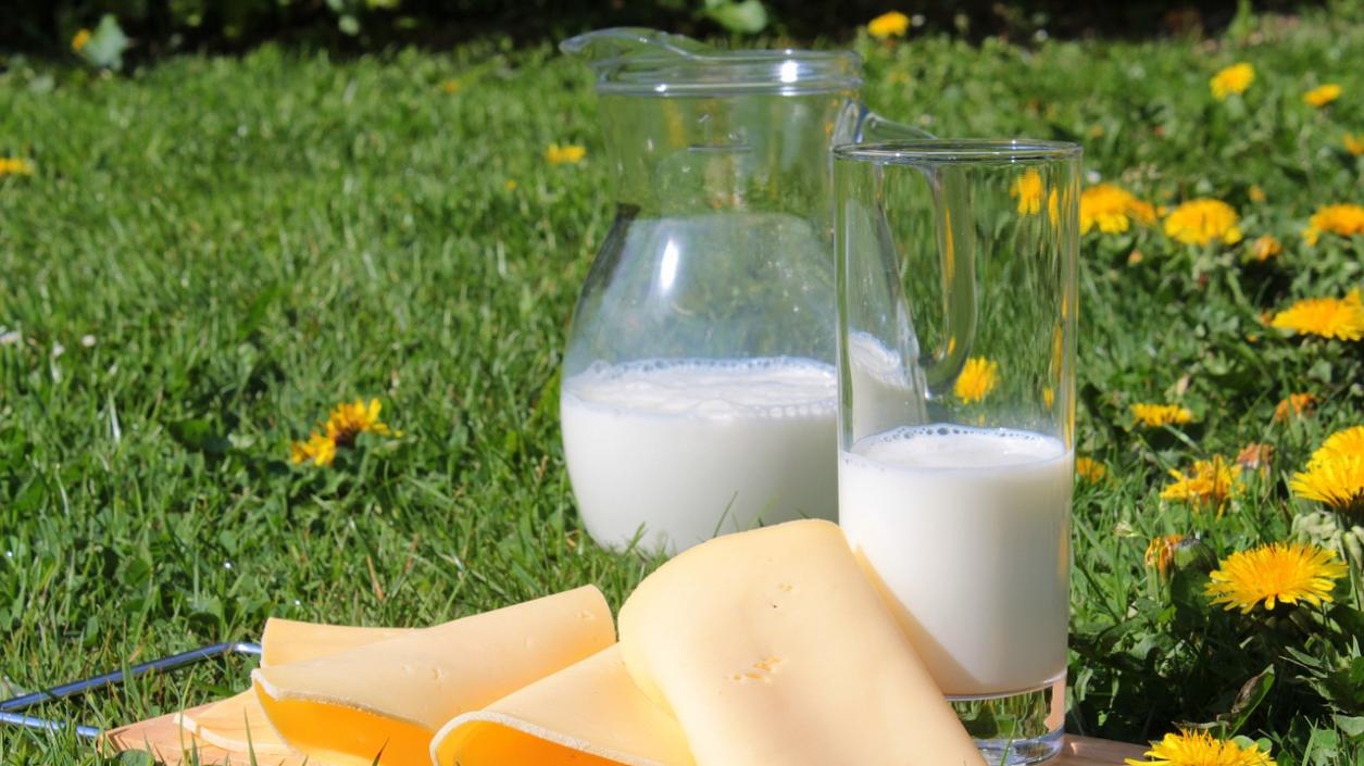 Вписваме киселото мляко и бялото сирене като защитени продукти