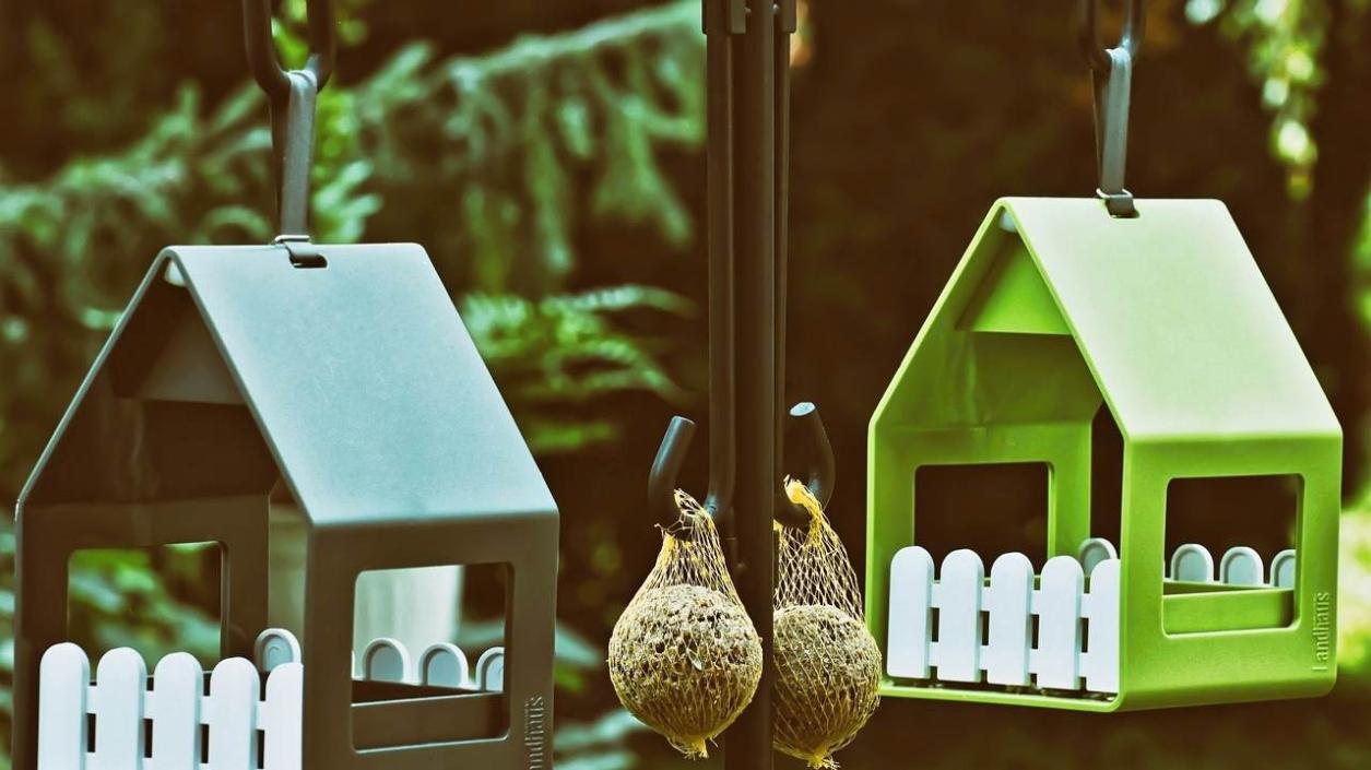 Продават благотворително къщички за птици