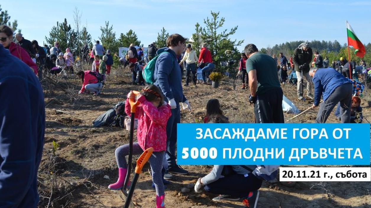 Доброволци ще засаждат 5000 дръвчета в Сливенско