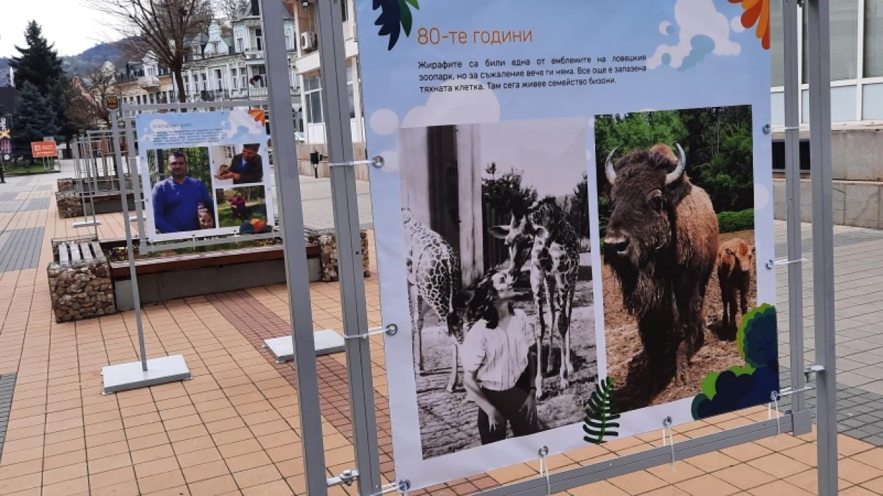 Фотоизложба разказва за Зоопарка в Ловеч