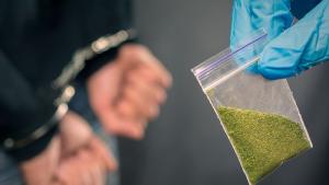 Полицаи са установили растения канабис в жилището на мъж в