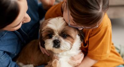 куче аутизъм