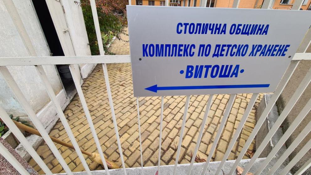 жълти павета градина