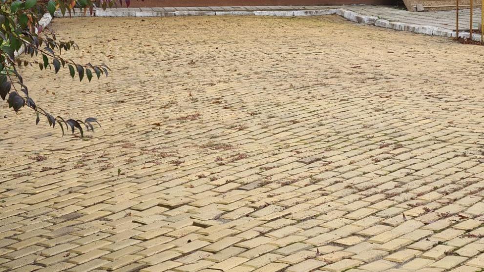 жълти павета градина