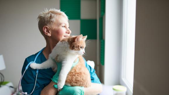 Рак на аналните жлези при котки - Стр.1 - DogsAndCats.bg