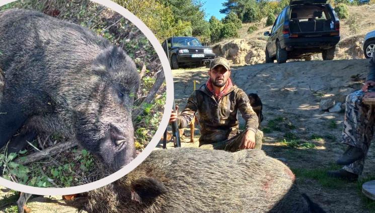 ПРАСЕ - УРОЖАЙ: Ловец отстреля Царя на Пирин