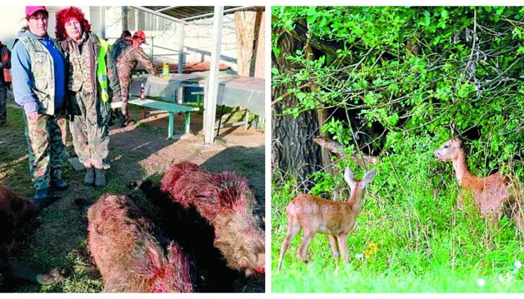 с - Ловците в Болярово нащрек за бежанци