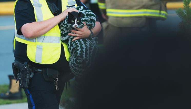 Котка - ЧУДО: Спасиха котка под руините на бомбардирана сграда в Киев (ВИДЕО)