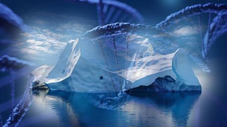 Антарктика ДНК