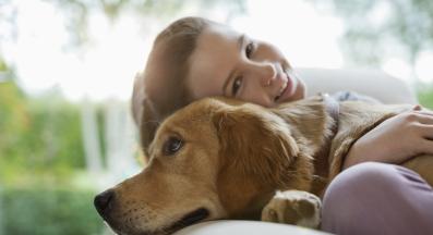 куче гушкане