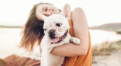 куче гушкане