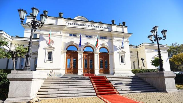 Номинация: кучето пред парламента да стане председател на НС (СНИМКА)