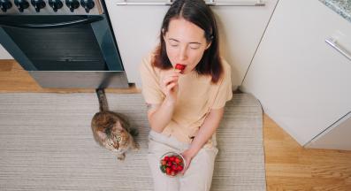 котка ягоди