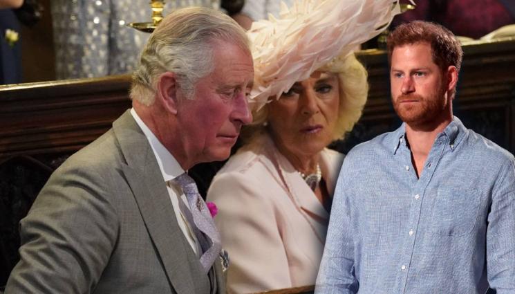 Чарлз - ЗАРАДИ КАМИЛА: Чарлз може да изгони Хари от коронацията си