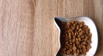 котка храна