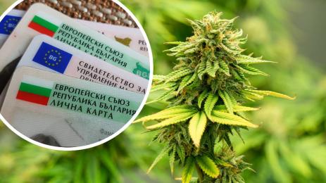 марихуана книжка