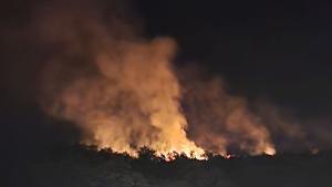 Загасиха пожара в Мини Марица Изток който е обхванал