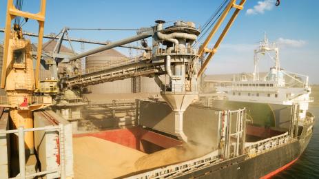 пшеница износ