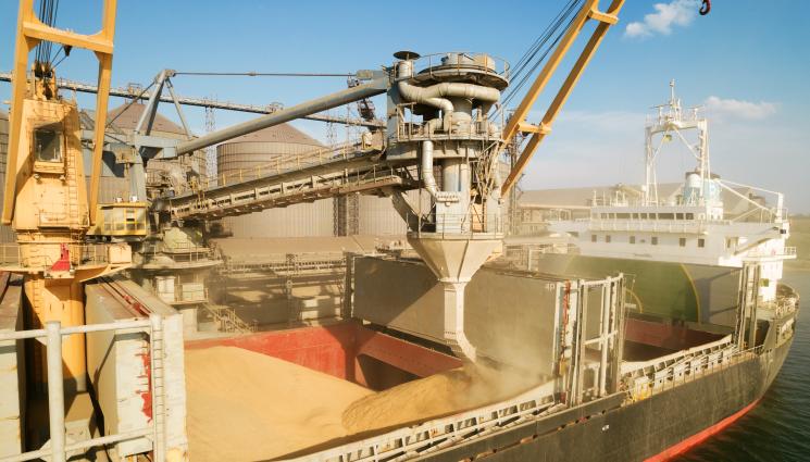 пшеница износ - Агро Телеграф: Износът на зърно на пауза