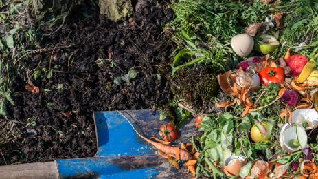 компост почва