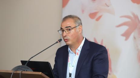 Ивайло Гълъбов