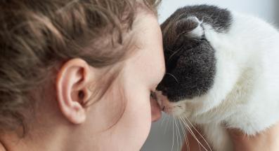 котка души стопанин