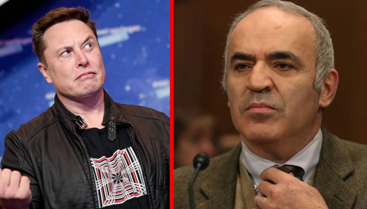 Мъск - Илон Мъск нарече Гари Каспаров идиот