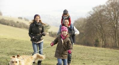 семейство куче