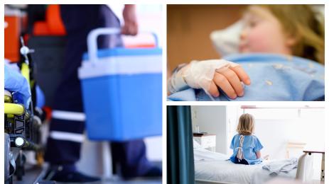 трансплантации